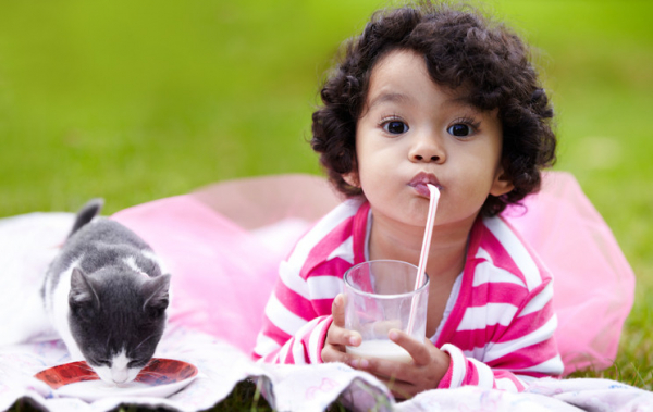 Do toddler formulas deliver on nutrition claims?